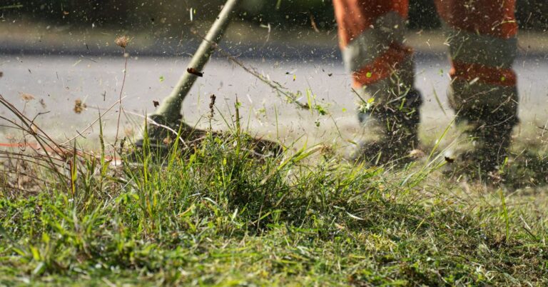 corte de grama em Porto Velho